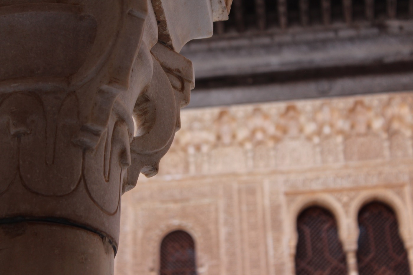 Congreso AEJR en Granada, 2014 · fotografía 15