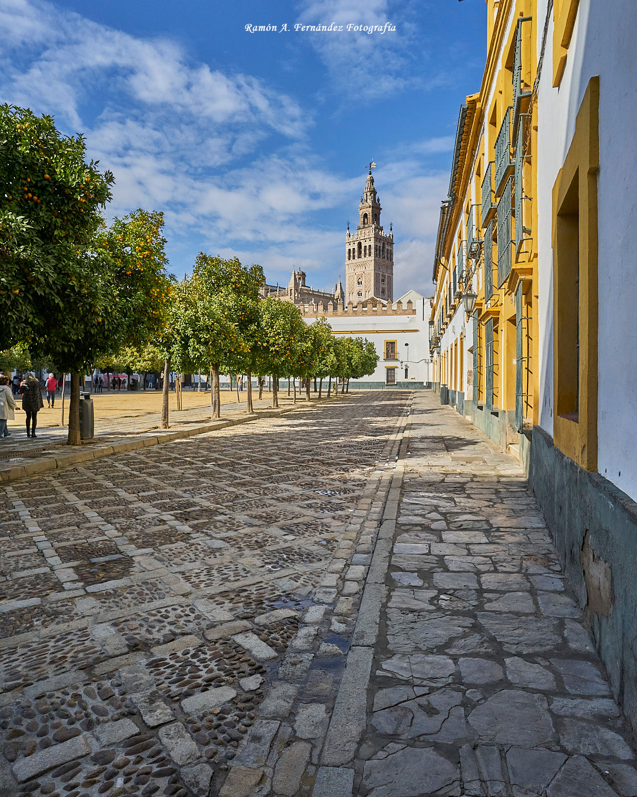 XVII Congreso AEJR en Sevilla, 2021 · imagen 27