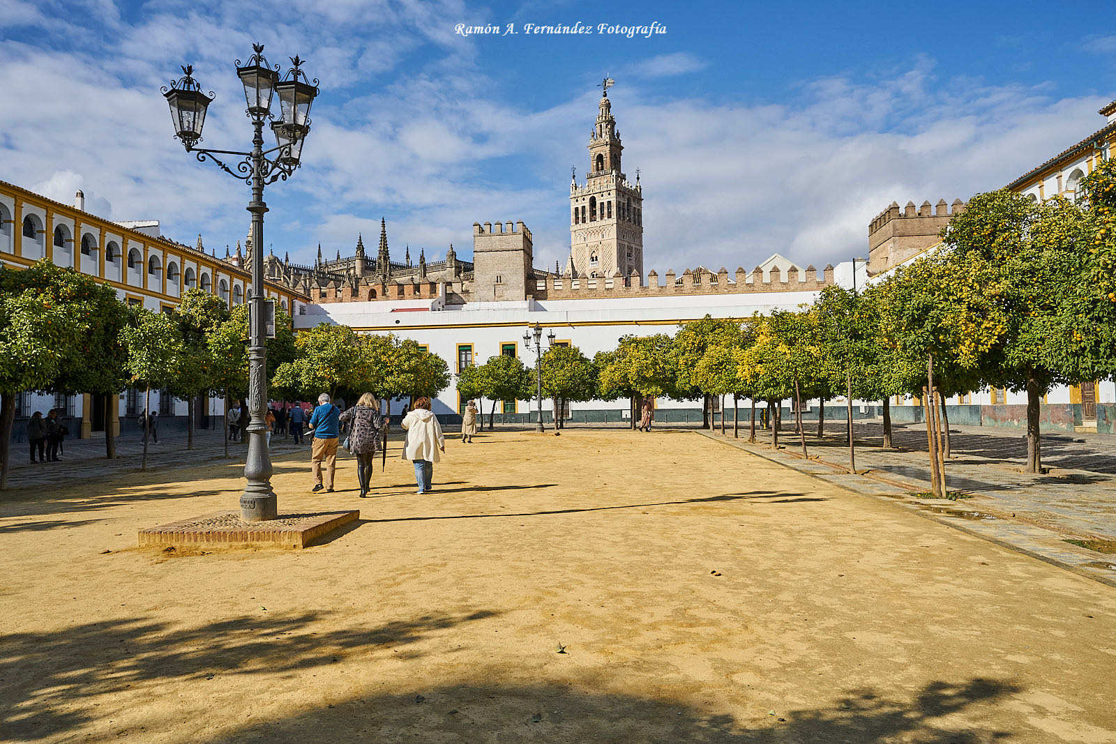 XVII Congreso AEJR en Sevilla, 2021 · imagen 28