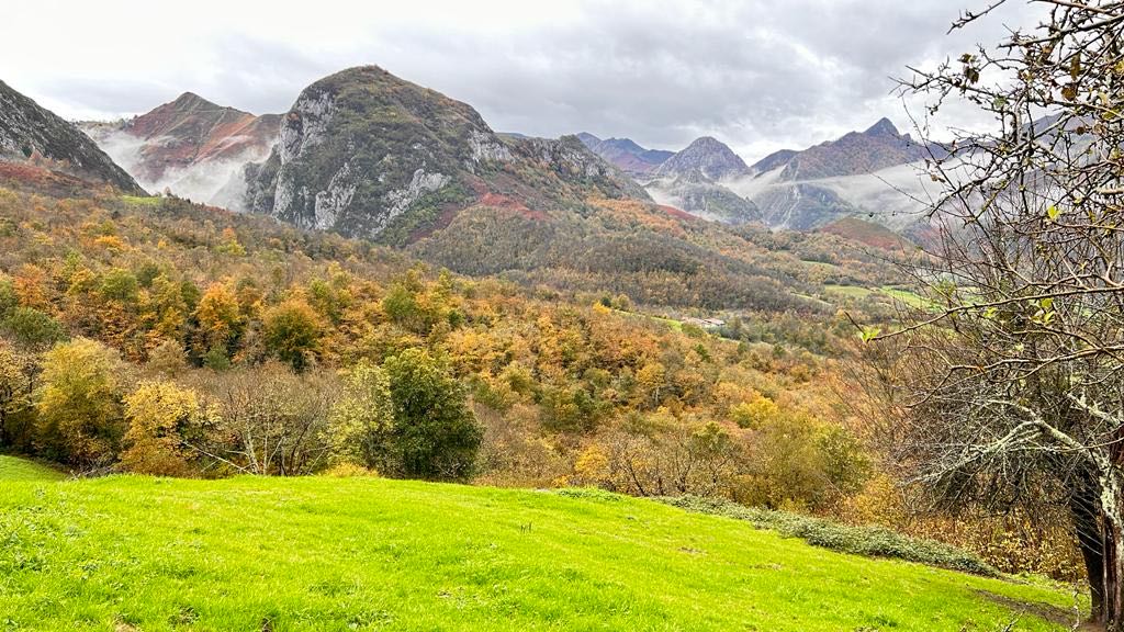 XIX Congreso AEJR en Asturias, 2023 · imagen 4